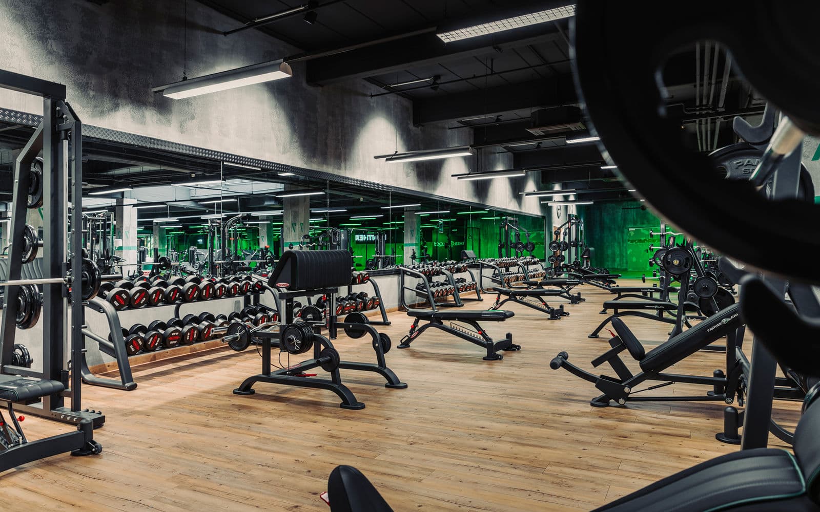 Trainingsfläche im Panther Gym