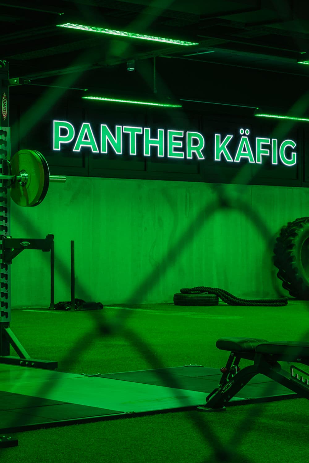 Panther Käfig