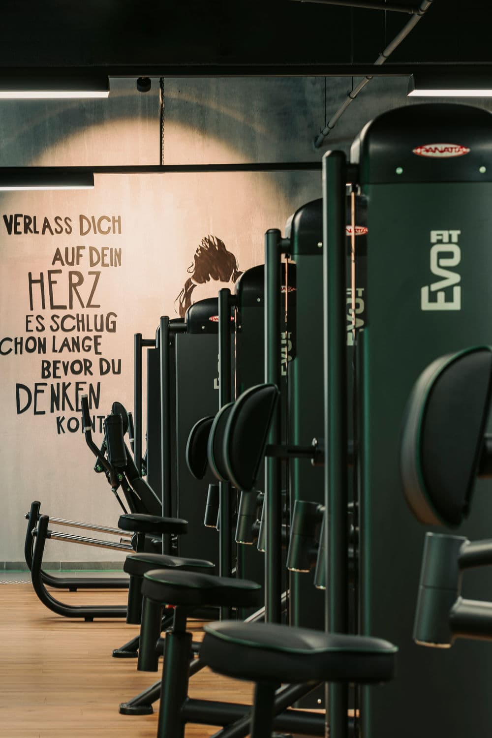 Lady Gym