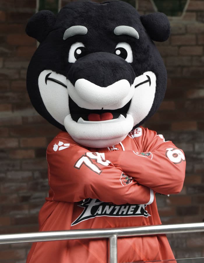Datschi